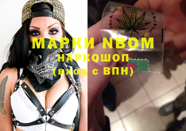 прущие грибы Валдай