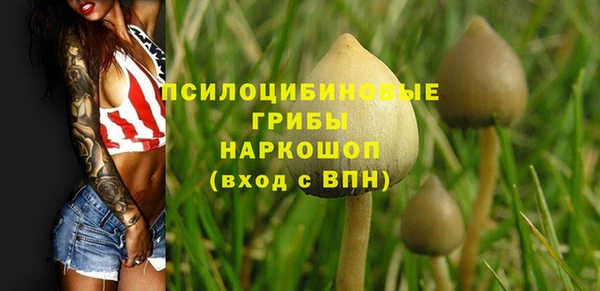 мескалин Карпинск