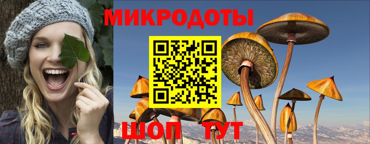 Кизилюрт  Псилоцибиновые грибы мицелий  Вход с VPN 