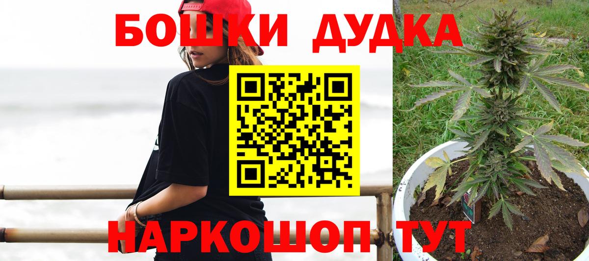 Каннабис планчик Кизилюрт